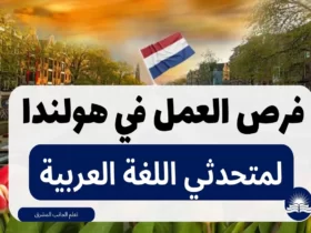 فرص العمل في هولندا لمتحدثي اللغة العربية 2023