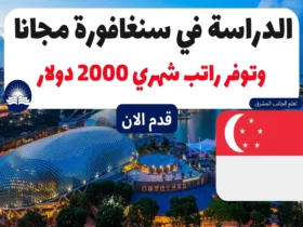 الدراسة في سنغافورة مجانا | وتوفر راتب شهري 2000 دولار