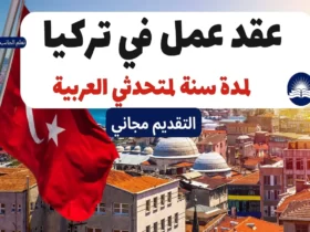 عقد عمل في تركيا لمتحدثي العربية 2023
