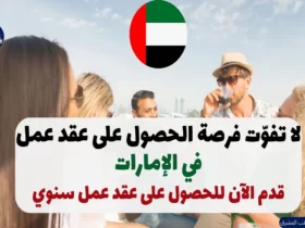 كيفية الحصول على عقد عمل في الإمارات لمدة عام في شركة دولية