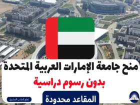 منح جامعة الإمارات العربية المتحدة 2023