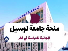 منحة جامعة لوسيل قطر 2024