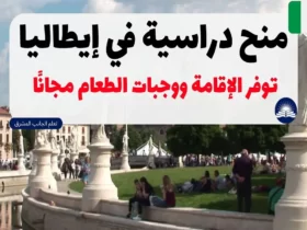 منح دراسية في إيطاليا 2024 توفر الإقامة ووجبات الطعام مجانًا