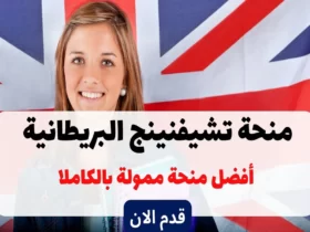 منحة تشيفنينج البريطانية 2023-2024
