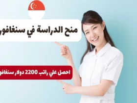 منح الدراسة في سنغافورة 2024 واحصل على راتب قدره 2200 دولار سنغافوري