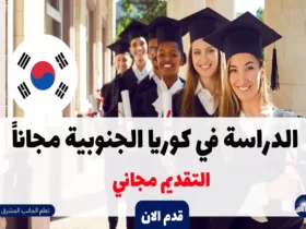 الدراسة في كوريا الجنوبية مجاناً 2024