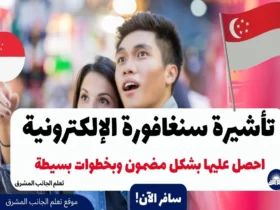 تأشيرة سنغافورة الإلكترونية 2023