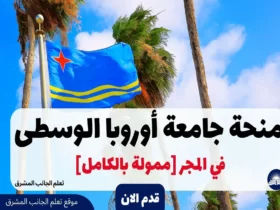 منحة جامعة أوروبا الوسطى 2024 في المجر [ممولة بالكامل]