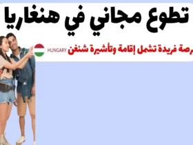 تطوع مجاني في هنغاريا: فرصة فريدة تشمل إقامة وتأشيرة شنغن