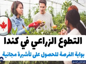 التطوع الزراعي في كندا: بوابة الفرصة للحصول على تأشيرة مجانية