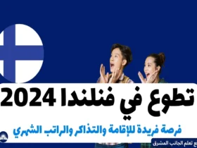 تطوع في فنلندا 2024: فرصة فريدة للإقامة والتذاكر والراتب الشهري