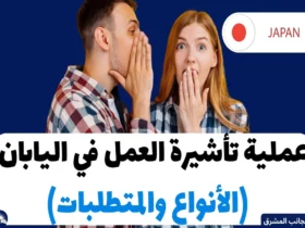 عملية تأشيرة العمل في اليابان 2024 (الأنواع والمتطلبات)
