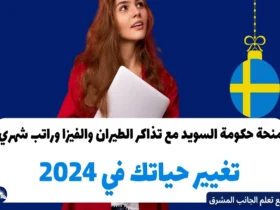 منحة حكومة السويد مع تذاكر الطيران والفيزا وراتب شهري: تغيير حياتك في 2024