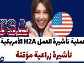 عملية تأشيرة العمل H2A الأمريكية 2024 (تأشيرة زراعية مؤقتة)
