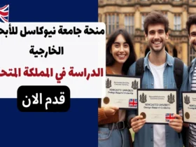 منحة جامعة نيوكاسل للأبحاث الخارجية 2024 – الدراسة في المملكة المتحدة