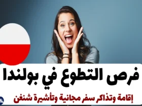 فرص التطوع في بولندا: إقامة وتذاكر سفر مجانية وتأشيرة شنغن