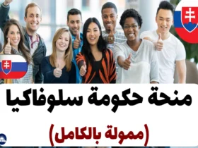 منحة حكومة سلوفاكيا 2024 (ممولة بالكامل)