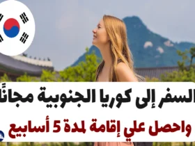 السفر إلى كوريا الجنوبية مجانًا: واحصل علي إقامة لمدة 5 أسابيع