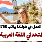 فرصة العمل في هولندا براتب 3750 يورو لمتحدثي اللغة العربية