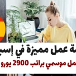 فرصة عمل مميزة في إسبانيا: عقد عمل موسمي براتب 2900 يورو شهريا