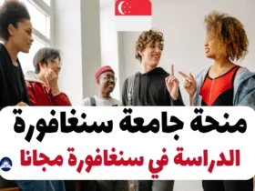 منحة جامعة سنغافورة 2024: الدراسة في سنغافورة مجانا