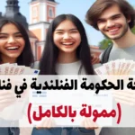 منحة الحكومة الفنلندية في فنلندا 2024-25 (ممولة بالكامل)