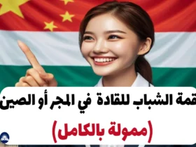 قمة الشباب للقادة 2024 في المجر أو الصين (ممولة بالكامل)