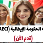 منحة الحكومة الإيطالية (MAECI) 2024-25 (قدم الآن)