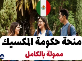 منحة حكومة المكسيك 2024 – ممولة بالكامل