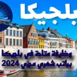 وظيفة متاحة في بلجيكا براتب شهري مجزي 2024