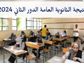 نتيجة الدور الثاني للثانوية العامة 2024: آخر التحديثات وكيفية الاستعلام بسهولة