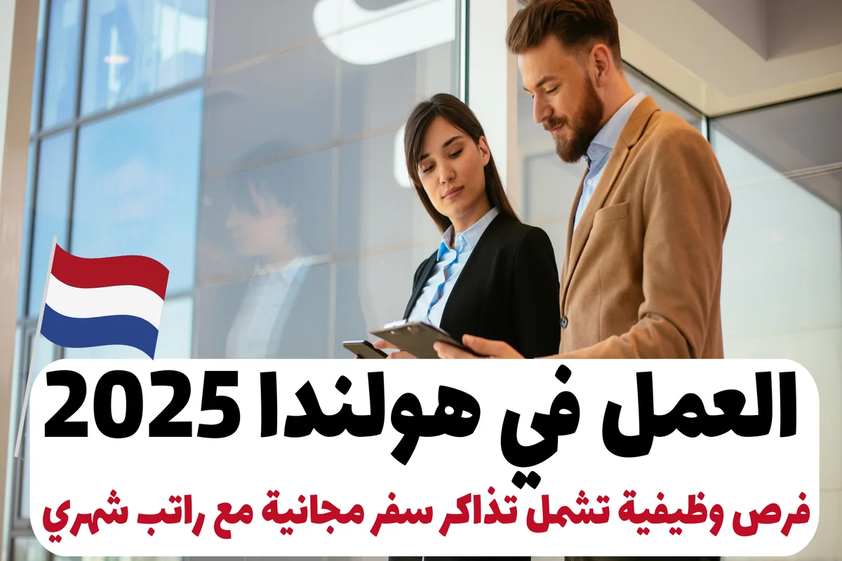 العمل في هولندا 2025: فرص وظيفية تشمل تذاكر سفر مجانية مع راتب شهري