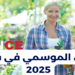 العمل الموسمي في فرنسا 2025: لا تفوت الفرصة