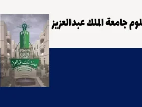 دبلوم جامعة الملك عبدالعزيز | دليلك الكامل للشروط الدراسة والمصروفات