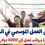 فرص العمل الموسمي في الزراعة 2025: تأشيرة ورواتب تصل إلى 4000 دولار شهريًا