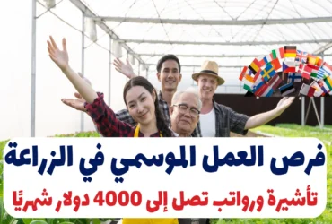 فرص العمل الموسمي في الزراعة 2025: تأشيرة ورواتب تصل إلى 4000 دولار شهريًا