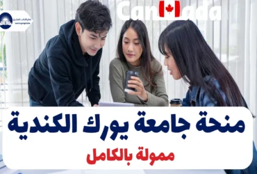 منحة جامعة يورك الكندية 2025 | ممولة بالكامل